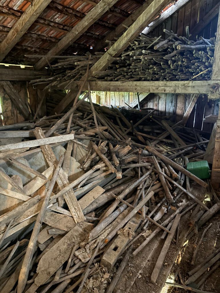 WhatsApp Image 2025-10-28 at 18.14.33(1)