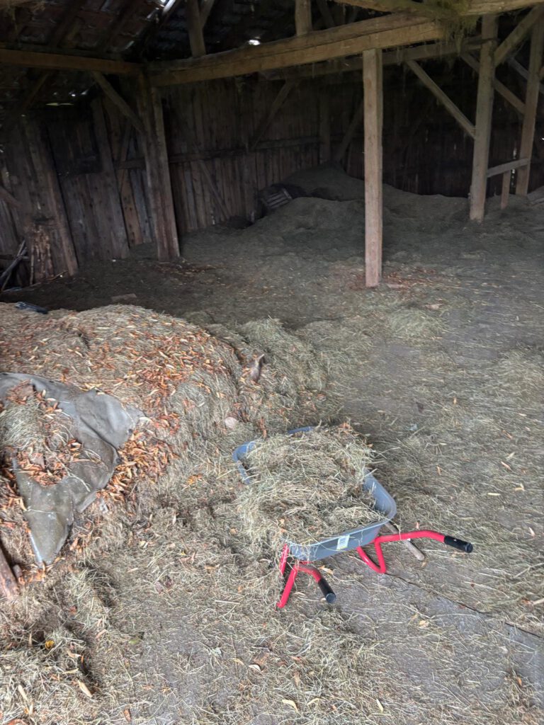 WhatsApp Image 2025-10-28 at 18.14.33(2)