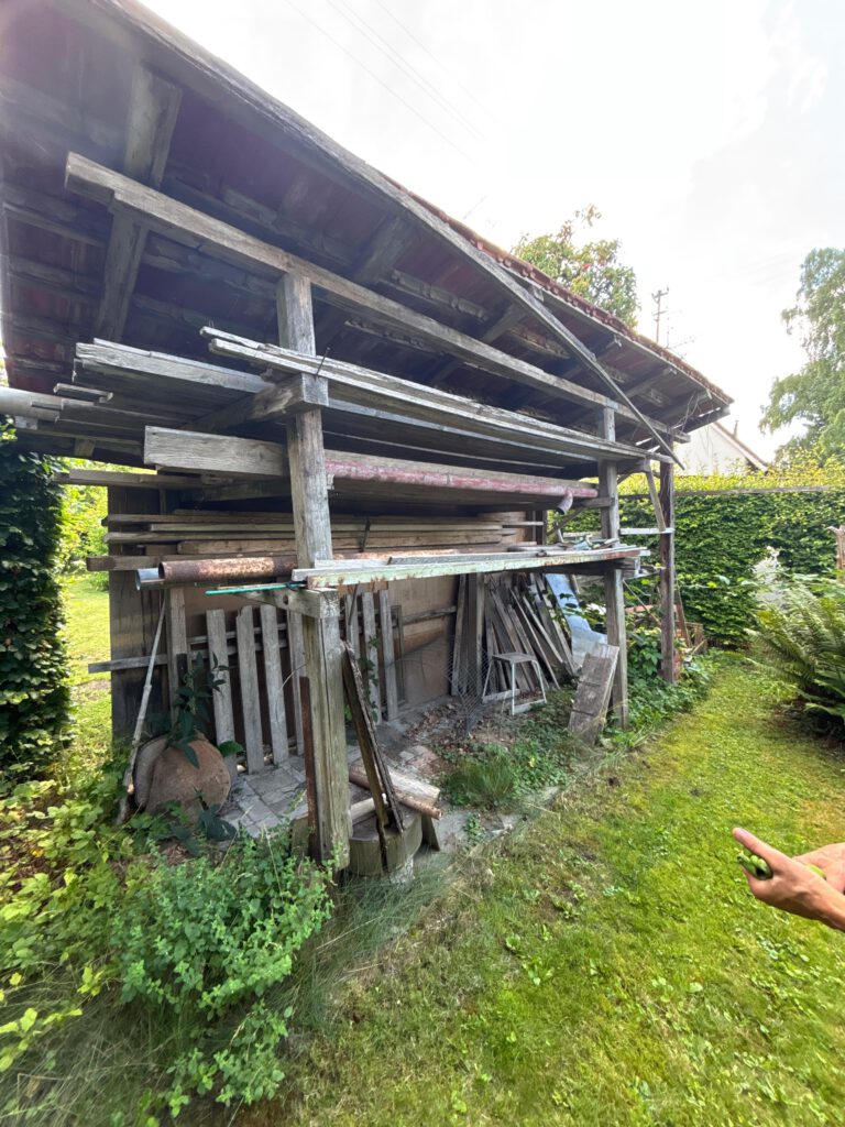 WhatsApp Image 2025-10-28 at 18.21.20(1)